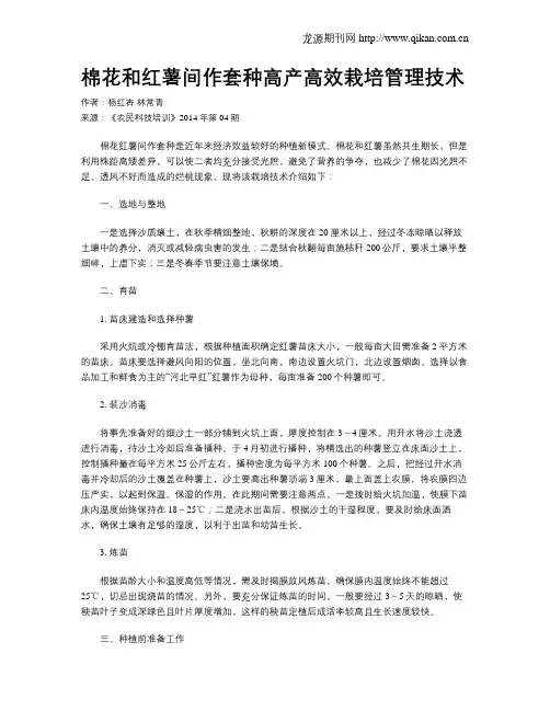 棉花和红薯间作套种高产高效栽培管理技术