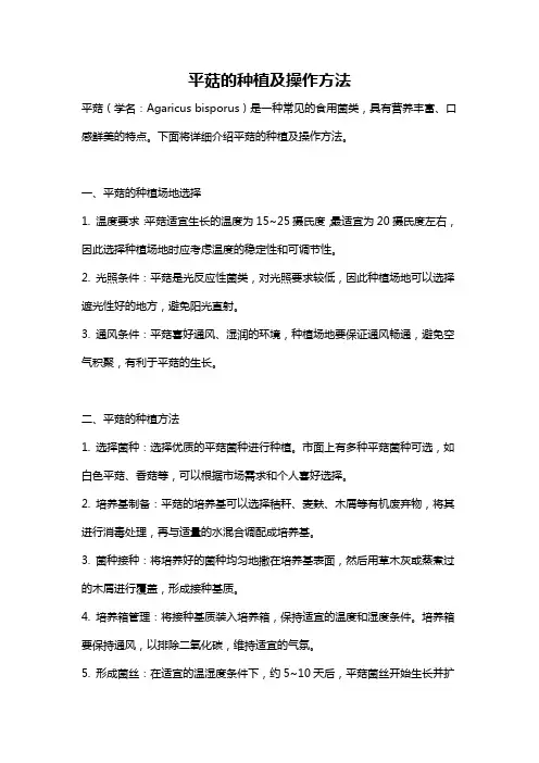 平菇的种植及操作方法