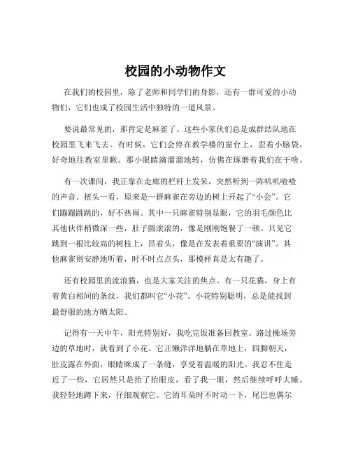 校园的小动物作文