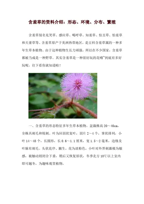含羞草的资料介绍：形态、环境、分布、繁殖