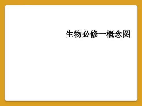 生物必修一概念图