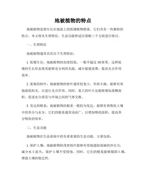地被植物的特点