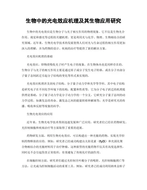 生物中的光电效应机理及其生物应用研究