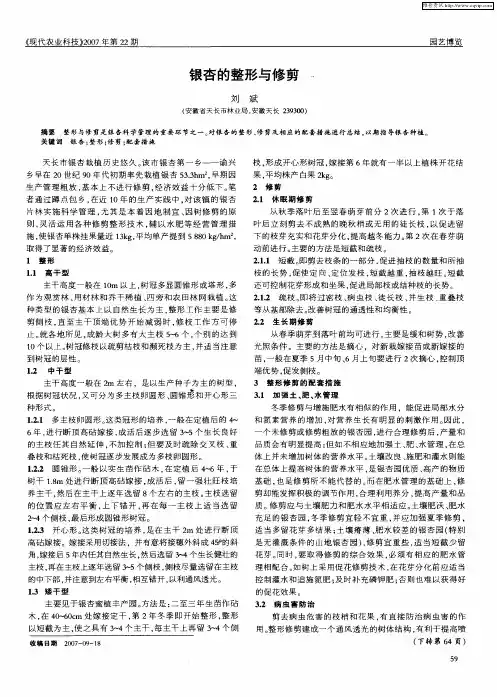 银杏的整形与修剪