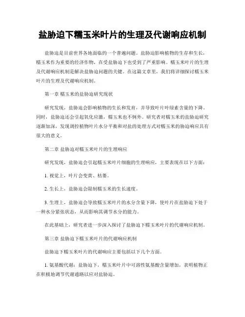 盐胁迫下糯玉米叶片的生理及代谢响应机制