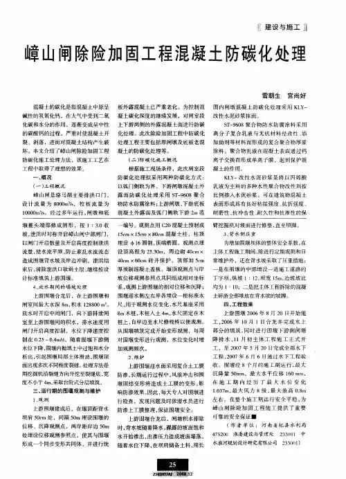 嶂山闸除险加固工程混凝土防碳化处理