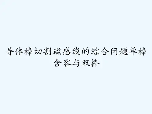 导体棒切割磁感线的综合问题单棒含容与双棒-PPT