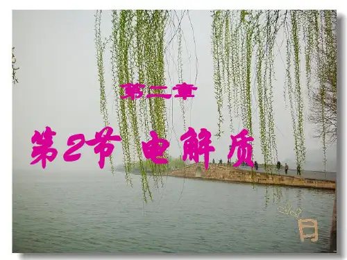 高中化学 电解质复习课件