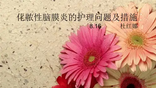 化脓性脑膜脑炎的护理问题及措施PPT课件