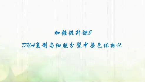 2024届高考生物一轮复习加强提升课8DNA复制与细胞分裂中染色体标记课件