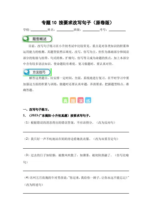 专题10 按要求改写句子(原卷版)