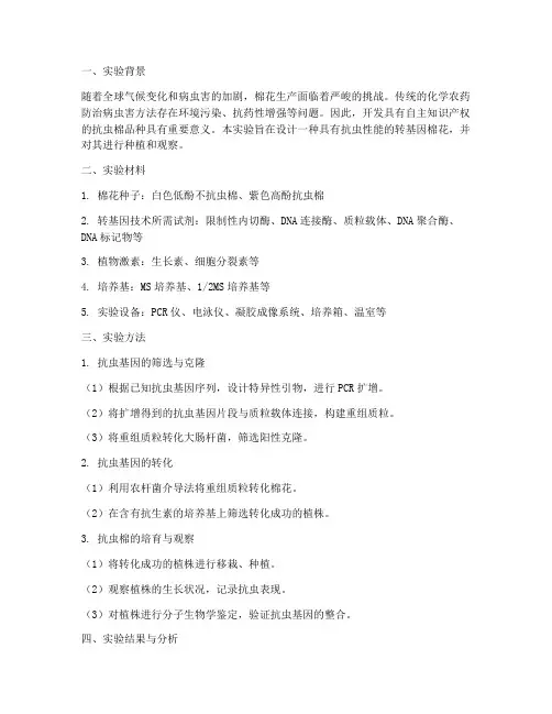 抗虫棉设计实验报告
