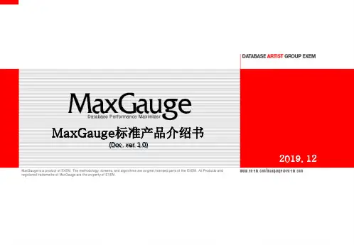 MaxGauge 使用手册