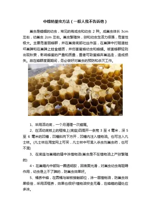 中蜂防巢虫方法（一般人我不告诉他）