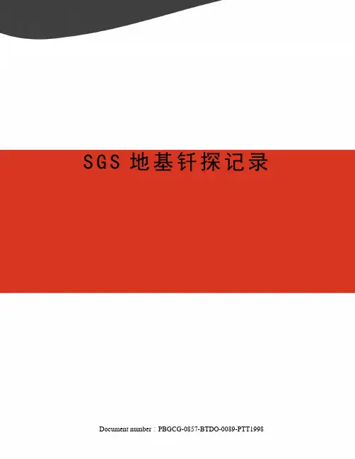 SGS地基钎探记录