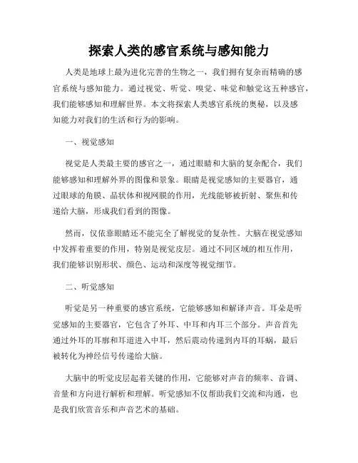 探索人类的感官系统与感知能力