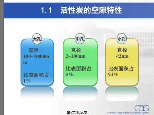 臭氧活性炭PPT课件