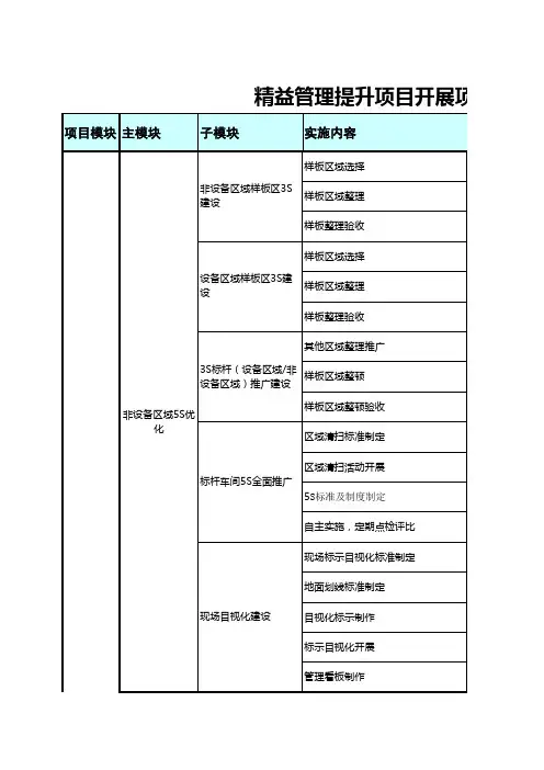 精益管理提升项目开展汇总表[JY0002]