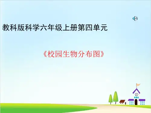 教科版《校园生物分布图》PPT课件1