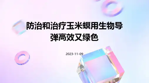防治和治疗玉米螟用生物导弹高效又绿色