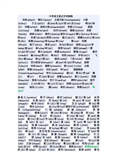 中考语文重点字词集锦
