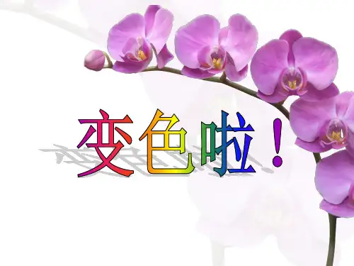 六年级上册科学课件-3.3 变色花｜苏教版 (共20张PPT)