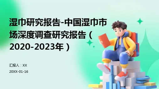 湿巾研究报告-中国湿巾市场深度调查研究报告(2020-2023年)