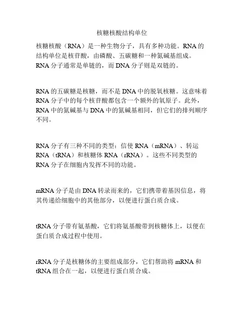 核糖核酸结构单位