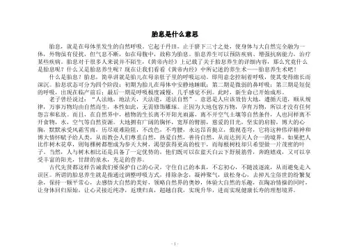 胎息是什么意思