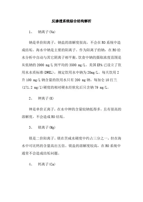 反渗透系统综合结构解析