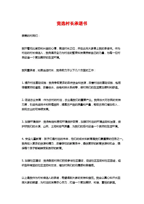竞选村长承诺书