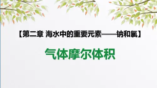 2.3物质的量(气体摩尔体积)人教版高中化学必修一