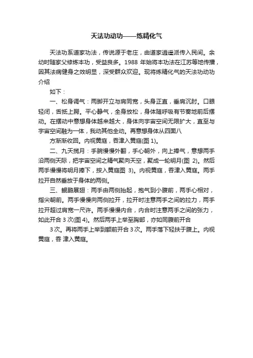 天法功动功——炼精化气