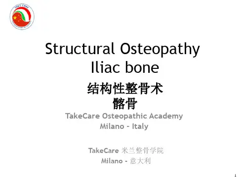 2ILIAC BONE 中英文