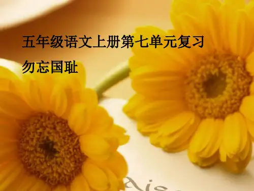 五年级语文上册第七单元复习课件