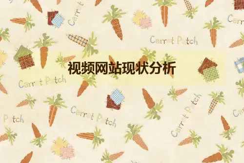 视频网站分析25页PPT文档