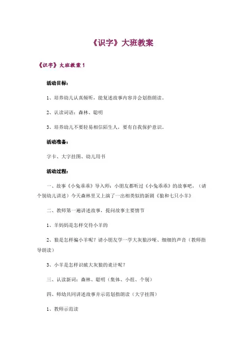 《识字》大班教案