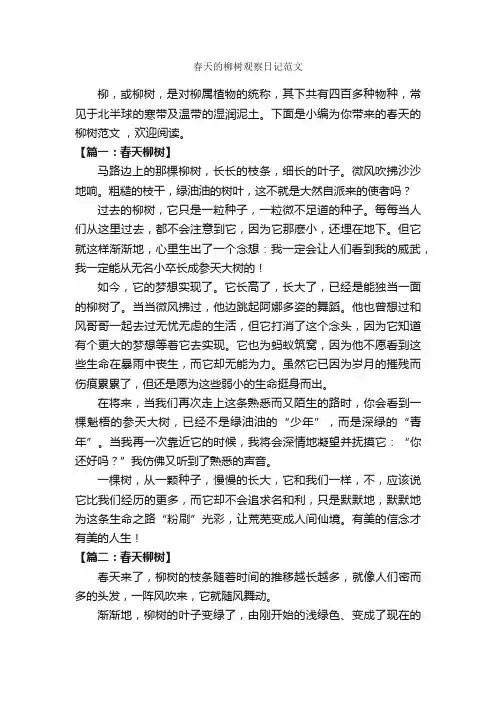春天的柳树观察日记范文_作文300字_四年级上册第二单元作文_