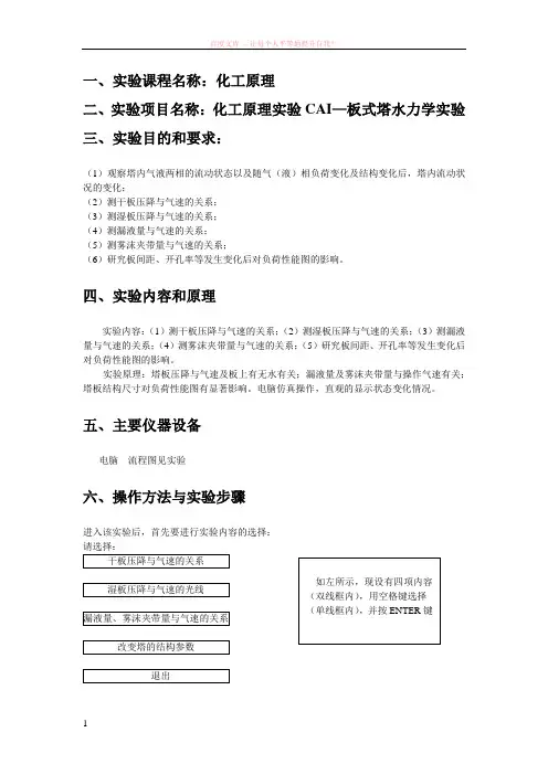 化工原理实验cai操作 (1)
