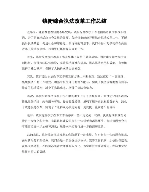 镇街综合执法改革工作总结