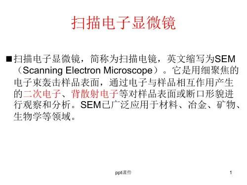 sem扫描电镜ppt课件