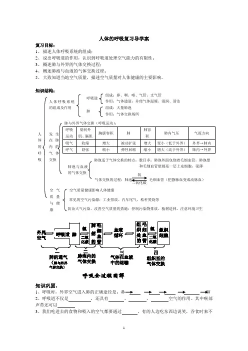 人体的呼吸导学案(修改)
