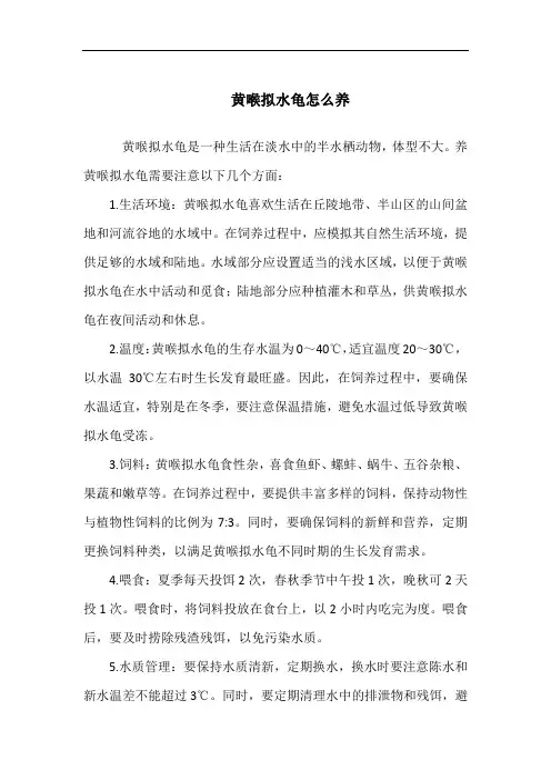 黄喉拟水龟怎么养