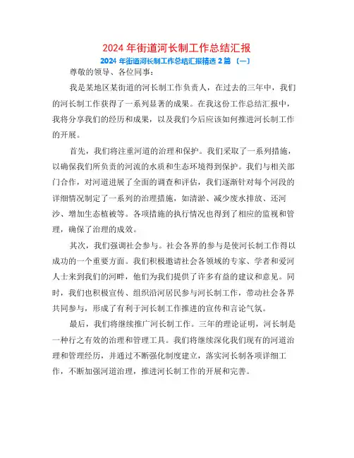 2024年街道河长制工作总结汇报2篇
