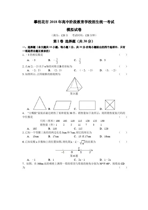 2018年四川攀枝花市中考数学模拟试题含答案