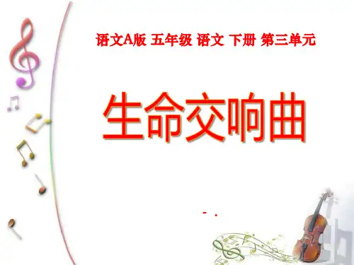 《生命交响曲》PPT课件