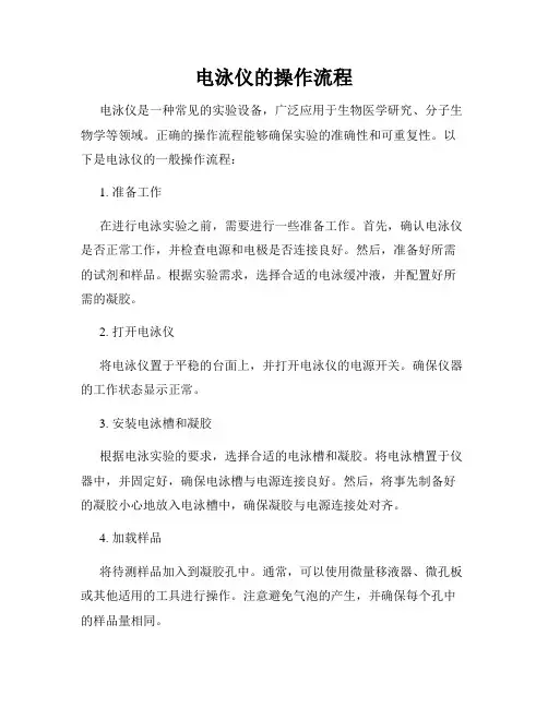 电泳仪的操作流程