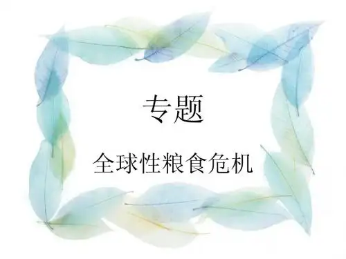 粮食危机专题课
