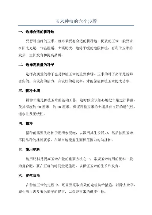 玉米种植的六个步骤