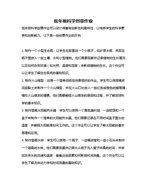 低年级科学创意作业